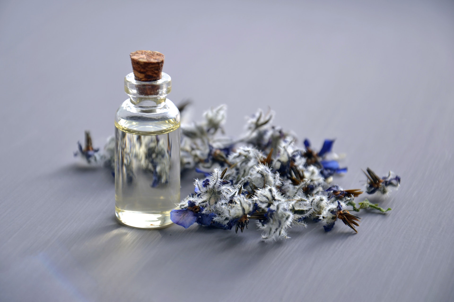 Aromatherapy for Health and Wellness: 12 Essential Oils to Use