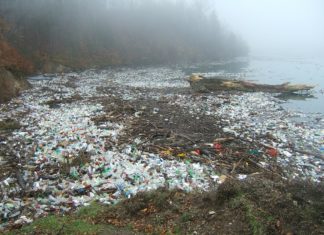 Why You Should Care About Plastic Waste in the Ocean