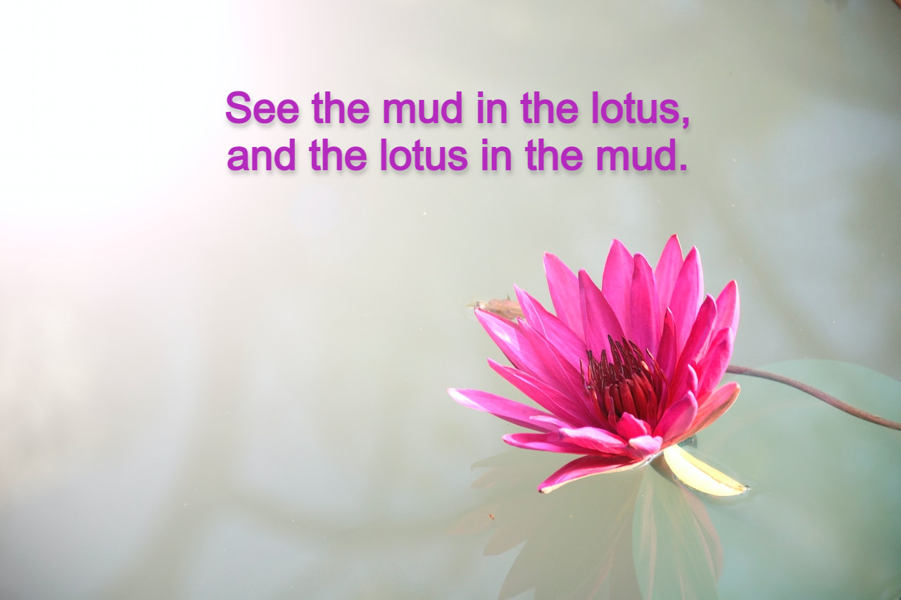 Thich Nhat Hanh lotus mud