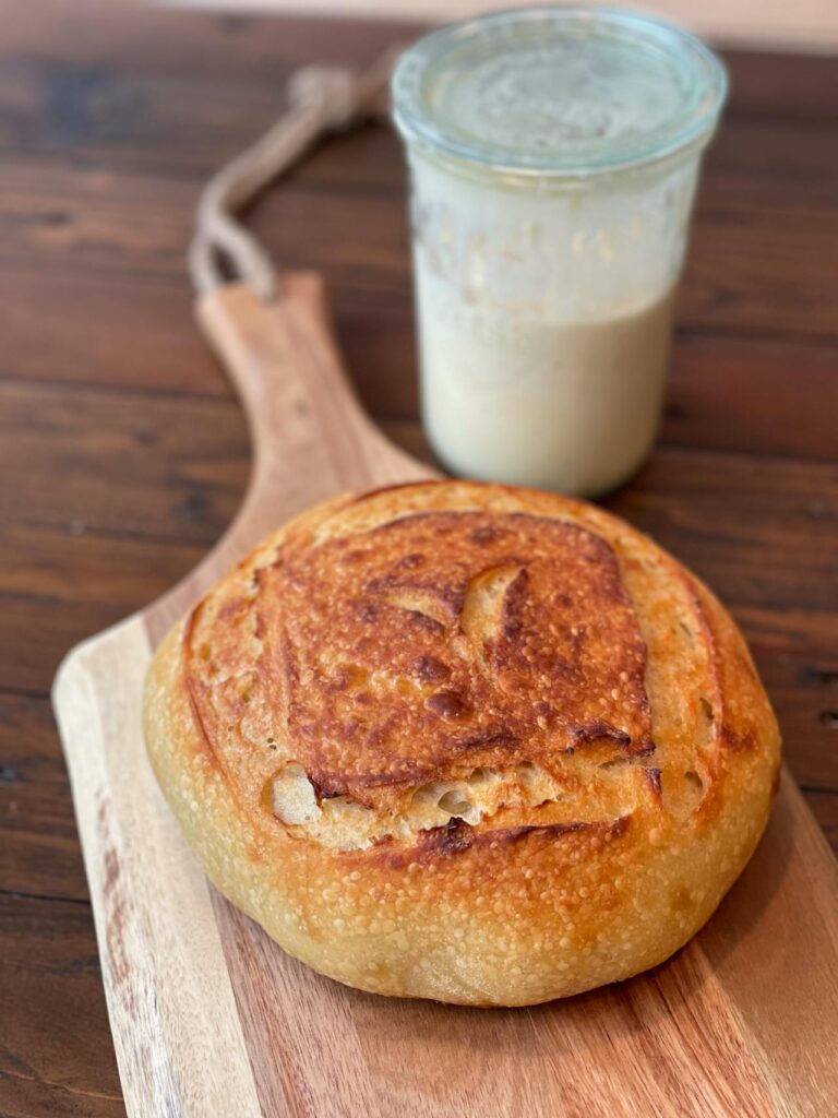 sourdough starter